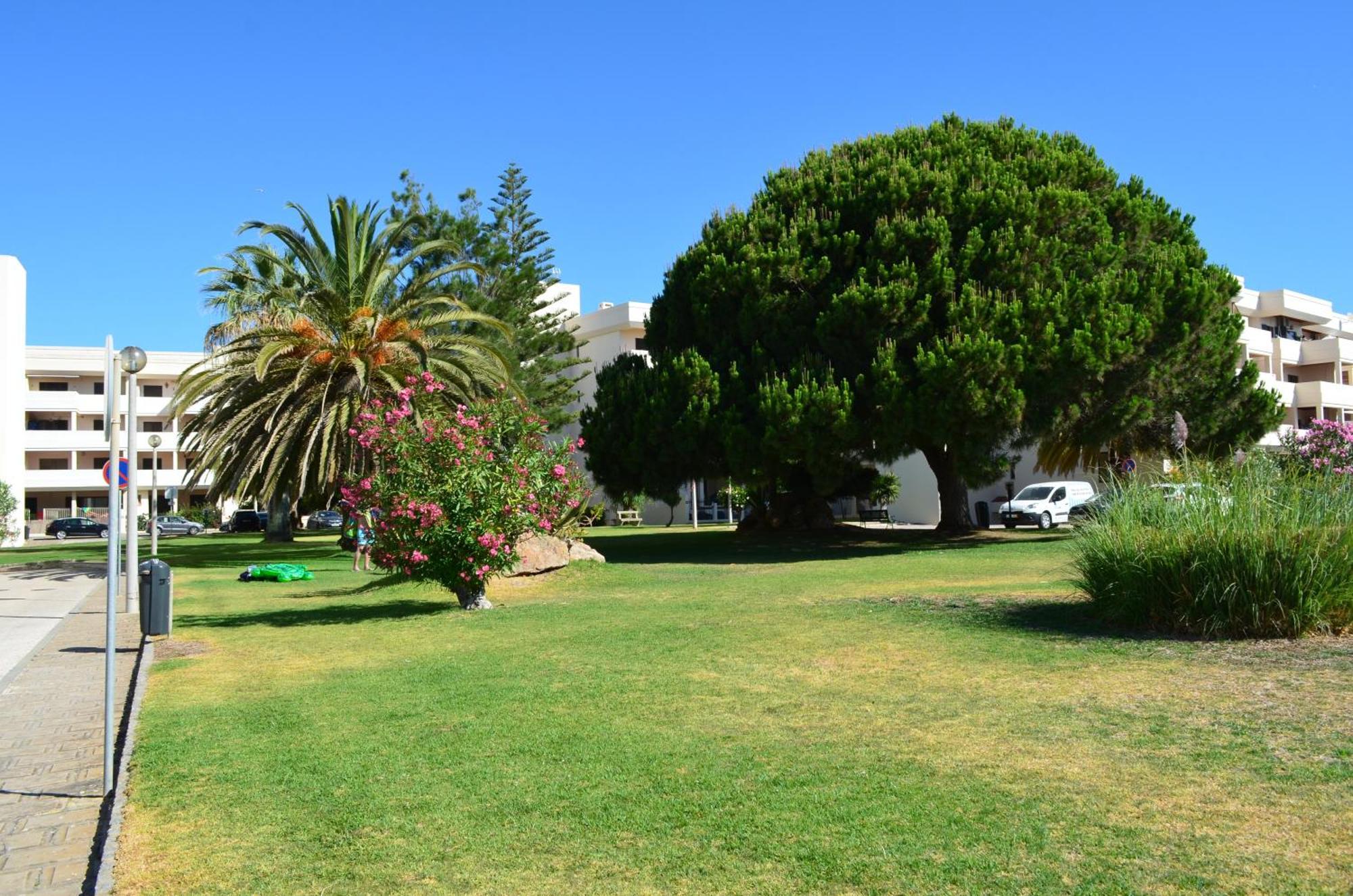 Above The Beach, 10 Min From The City Center - Casa Da Tartaruga Lagos Exterior foto